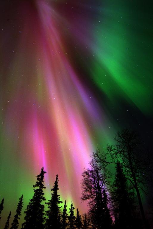 Lapland Northern Lights Hotel Ilveslinna รานูอา ภายนอก รูปภาพ