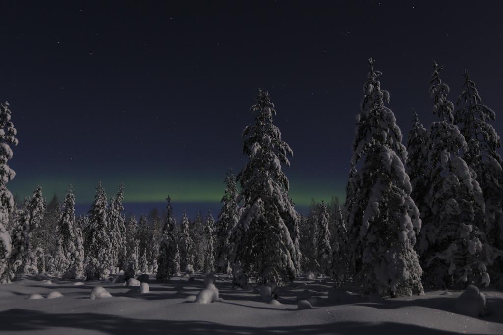 Lapland Northern Lights Hotel Ilveslinna รานูอา ภายนอก รูปภาพ