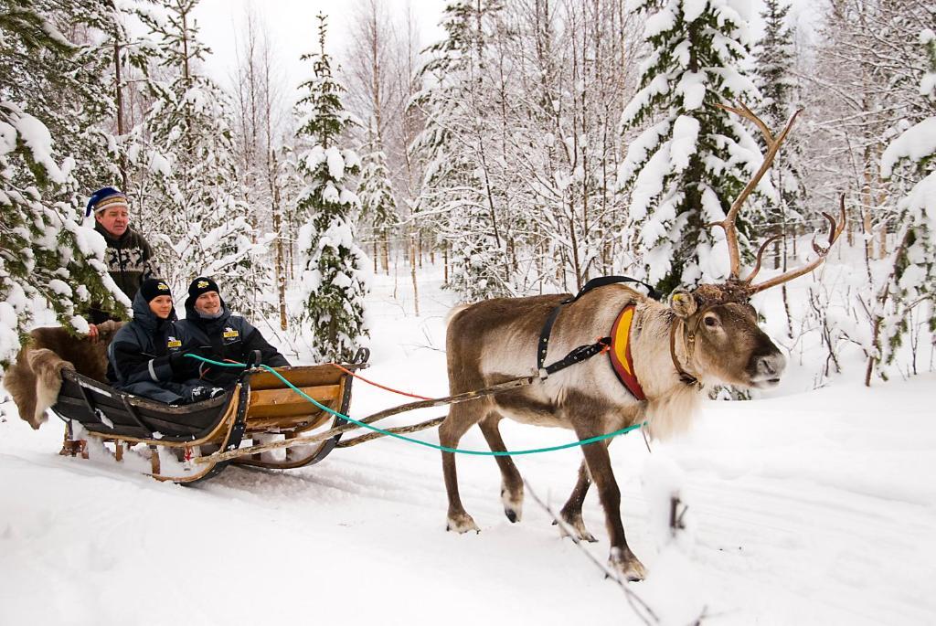 Lapland Northern Lights Hotel Ilveslinna รานูอา ภายนอก รูปภาพ
