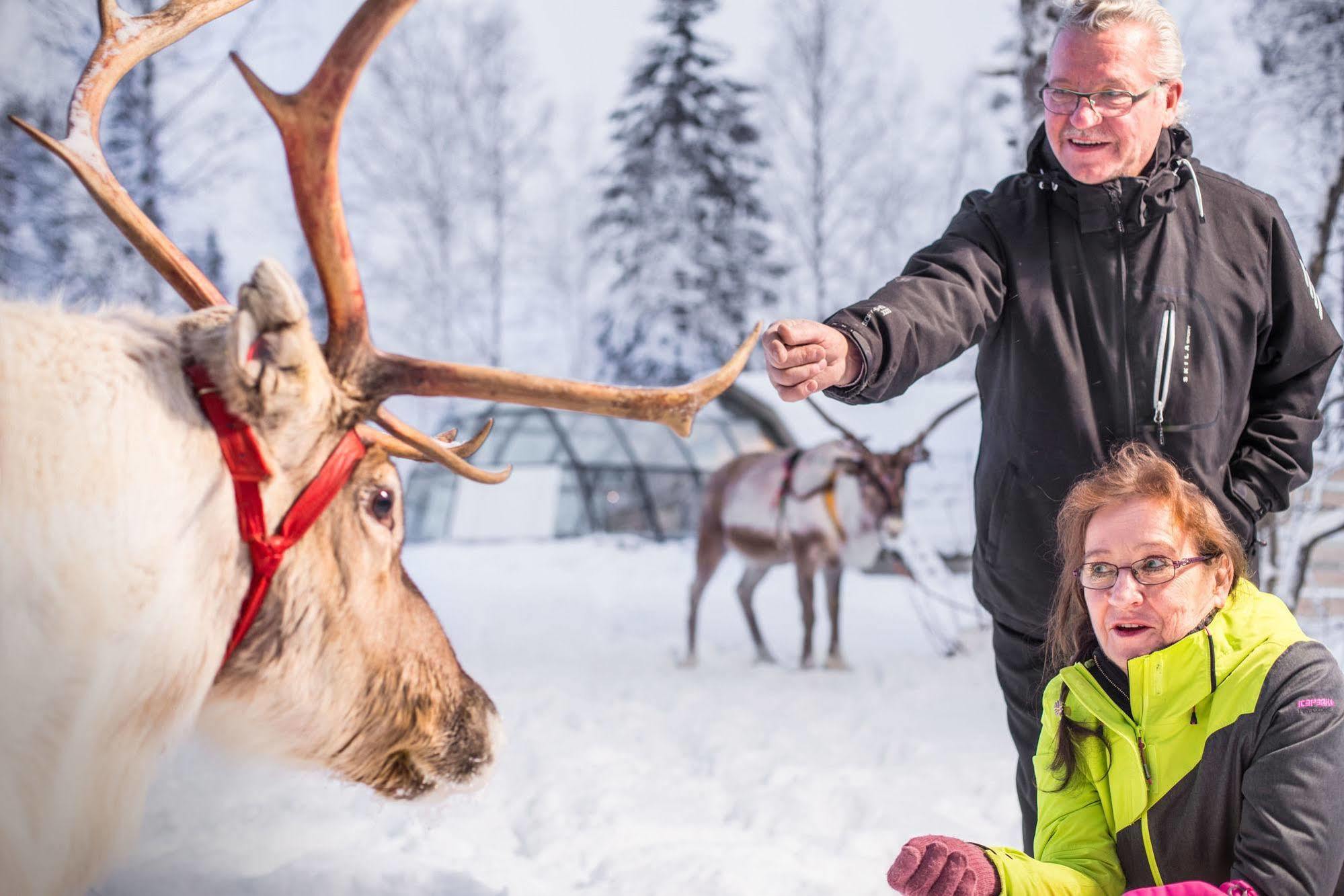 Lapland Northern Lights Hotel Ilveslinna รานูอา ภายนอก รูปภาพ
